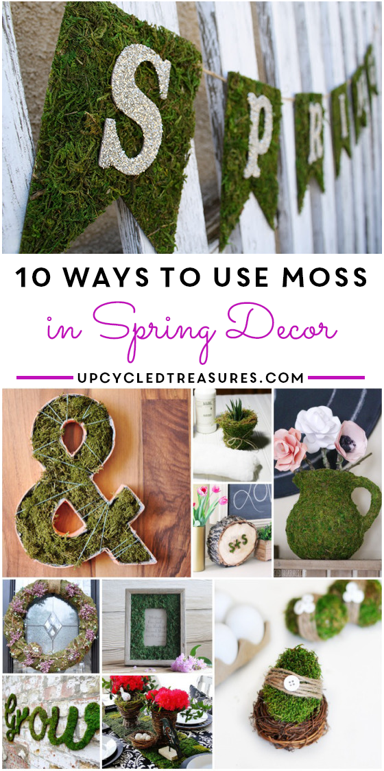 10-ways-to-use-moss-in-spring-decor-upcycledtreasures