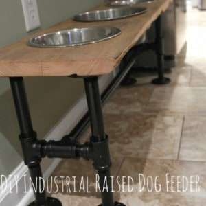 industrial-dog-feeder