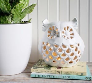 diy whimsical owl nightlight mountainmodernlife.com