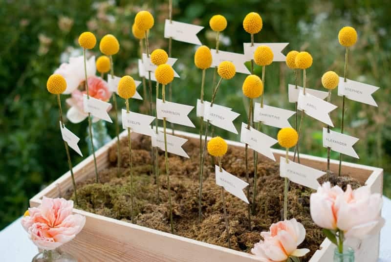 Planning a rustic or whimsical-inspired wedding? Check out this Craspedia wedding flower inspiration for ways to add this quirky flower to your decor. 