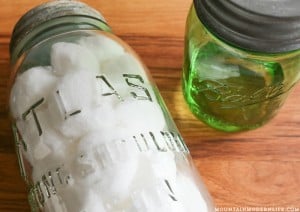 Forget about mouse traps, check out The Secret to Keeping Mice Out of your home or RV. The best part is it's all natural. MountainModernLife.com