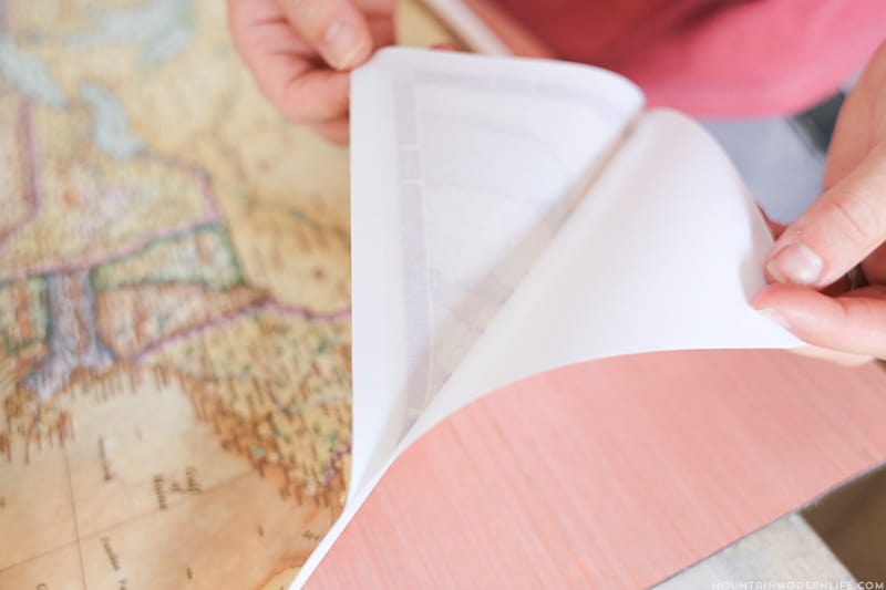 peel and stick map