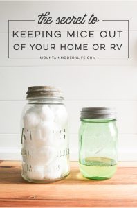 Looking for mouse trap alternatives? We've tried several "natural" remedies but have finally discovered The Secret to keeping mice out of our RV. MountainModernLife.com