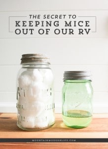 secret-to-keeping-mice-out-of-rv-mountainmodernlife-com