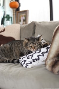 diy-placemat-pillow-on-rv-sofa-mountainmodernlife-com