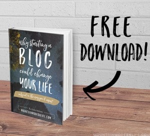 why-blogging-could-change-your-life-mountainmodernlife-com-550