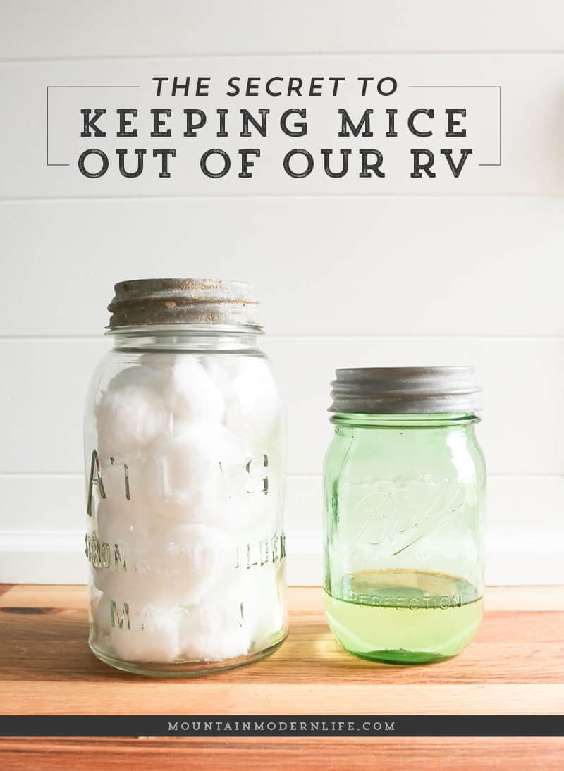 How to Keep Mice out of your RV - 10 Favorite Posts of 2016 | MountainModernLife.com