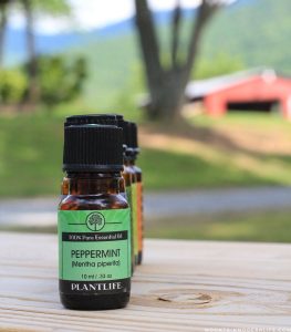 Looking to incorporate natural remedies into your lifestyle? Here are 6 of my favorite single essential oils that I frequently use. | MountainModernLife.com