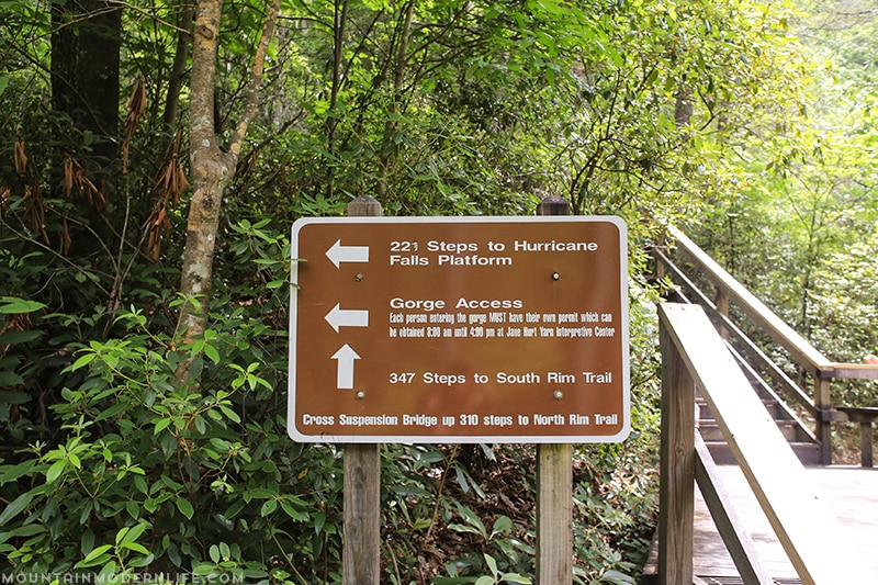 Looking to get out and explore North Georgia? Look no further than Tallulah Gorge State Park, it's one of the largest gorges on the East Coast! MountainModernLife.com