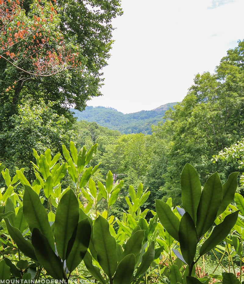 North Carolina Mountain Getaway