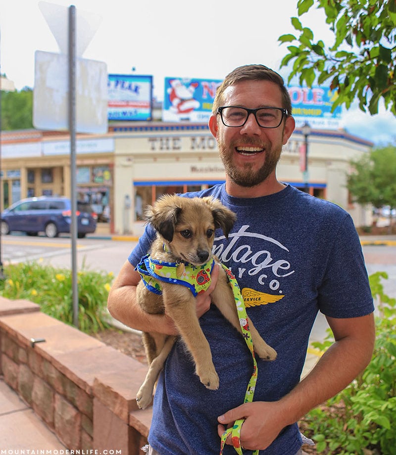 We're now traveling in our RV with two cats and a recently adopted rescue pup, McNally, who we named after the Rand McNally maps. MountainModernLife.com