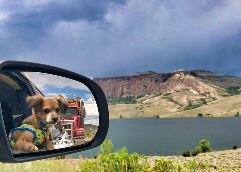 We're now traveling in our RV with two cats and a recently adopted rescue pup, McNally, who we named after the Rand McNally maps. MountainModernLife.com