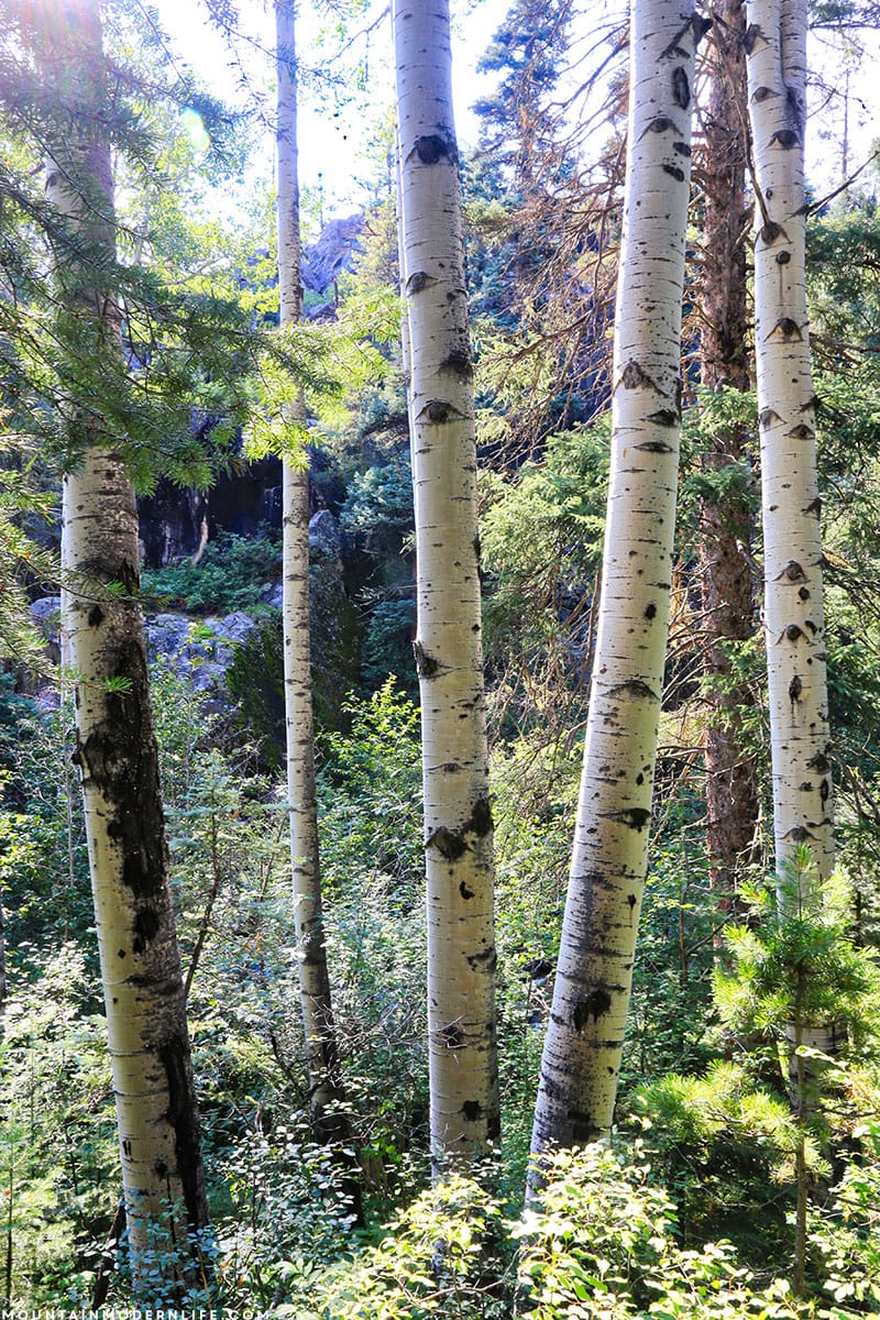 If you're planning a trip to Southwest Colorado, be sure to make time for the Million Dollar Highway! Watch our video of this beautiful scenic drive, along with our hike at Vallecito Creek Trail. MountainModernLife.com 