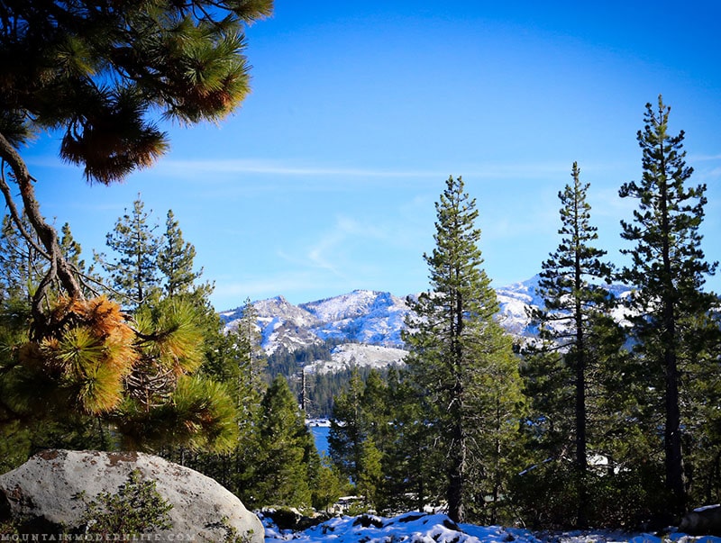 Come see why we've decided to make Christmas tree hunting in the National Forest our new holiday tradition! MountainModernLife.com