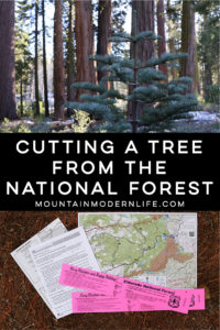 Come see why we've decided to make Christmas tree hunting in the National Forest our new holiday tradition! MountainModernLife.com