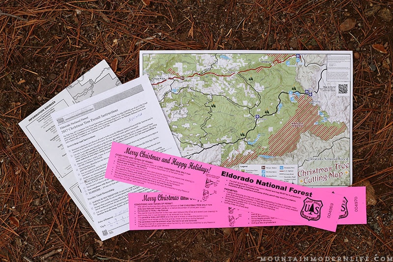 Come see why we've decided to make Christmas tree hunting in the National Forest our new holiday tradition! MountainModernLife.com