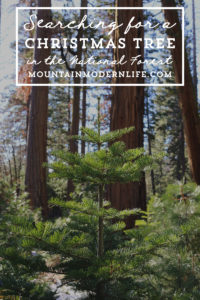 Come see why we've decided to make Christmas Tree hunting in the National Forest our new holiday tradition! MountainModernLife.com