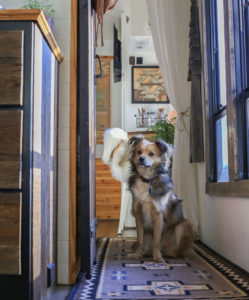 10 Southwestern Rug Runners that will bring Cabin Vibes to Your Home