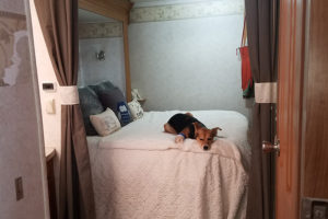 Tour this modern industrial RV Renovation from Us 3 + the RV! Featured on MountainModernLife.com