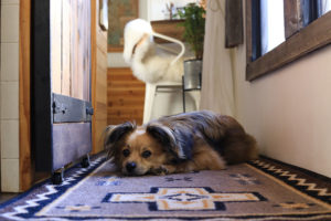 McNally laying in RV hallway