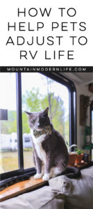 How to Help Pets Adjust to RV Life | MountainModernLife.com
