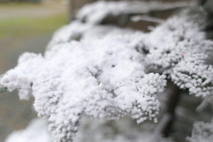 How to flock a Christmas tree with realistic results! See how easy it is to transform a real or artificial tree into a winter wonderland! MountainModernLife.com