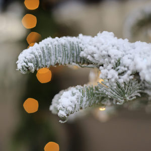 How to flock a Christmas tree with realistic results! See how easy it is to transform a real or artificial tree into a winter wonderland! MountainModernLife.com