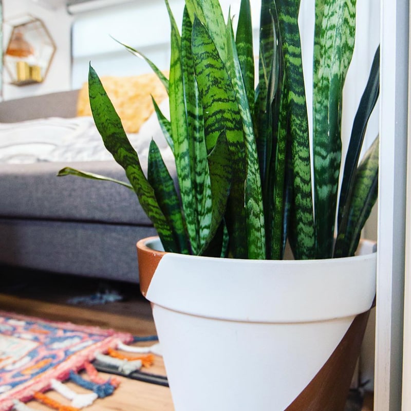 (Camper) Design Vibes Featuring LovetheTinyLife -See how a family of 3 lives in this renovated travel trailer!