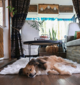 Come see how an outdated RV was transformed into a Mountain Modern Motorhome! #RVremodel #RVrenovation #camperremodel #camperrenovation #campermakeover #RVmakeover #mountainmodernlife #rusticmodern #mountainmodern #tinyhome #beforeafter