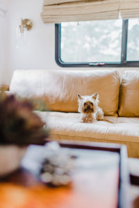 Camper Tour: This family traded a house by the ocean for a home on the road. Photos from @UncommonFarmer / Featured on MountainModernLife.com