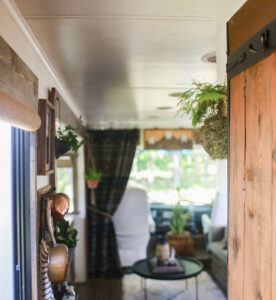 asparagus fern on cork bark flat