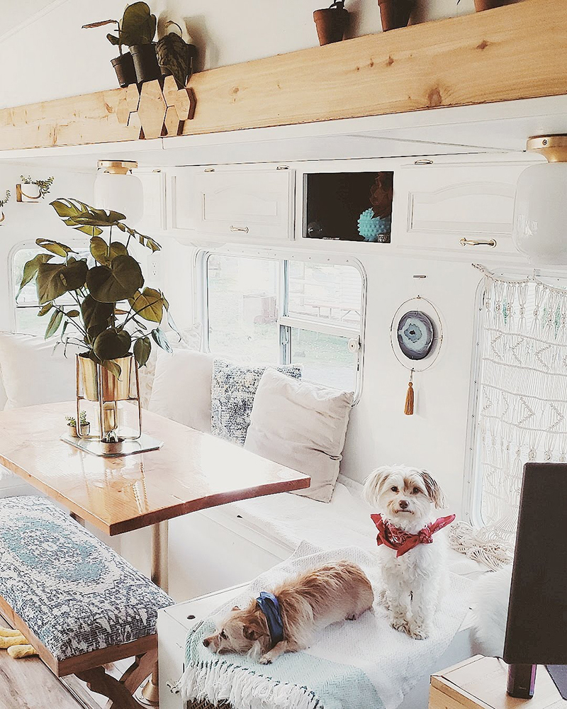 The interior of this bohemian 5th wheel is a botanical wonderland! Featuring @leeannieblivin on mountainmodernlife.com