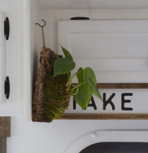 heart pothos on diy cork bark flat