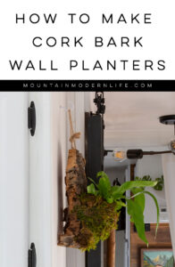 diy birds nest cork bark planter