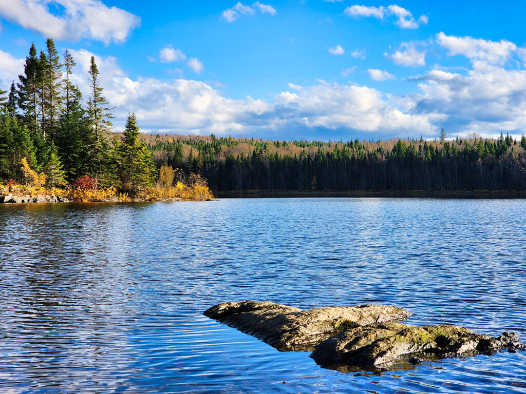 New Hampshire