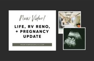 RV renovation update video