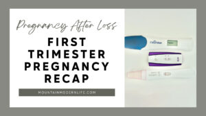 first trimester pregnancy recap