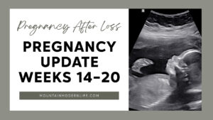 Pregnancy After Loss: Second Trimester Pregnancy Update: Weeks 14-20