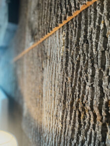 rustic bark accent wall