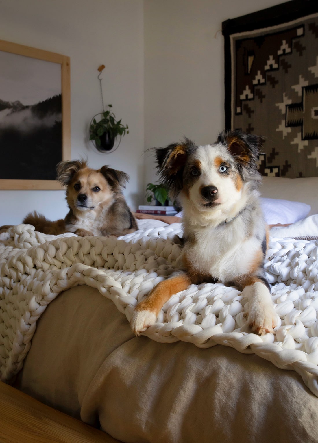 These sustainable bedding brands can help cozy up your sleep space