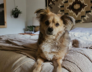 McNally laying on magic linen bedding